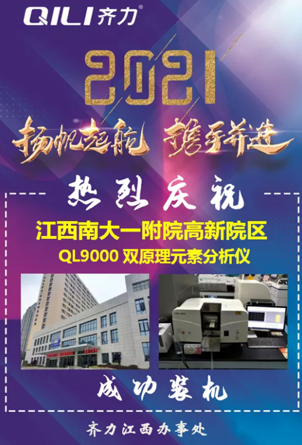 雙原理元素分析儀 雙原理元素分析儀